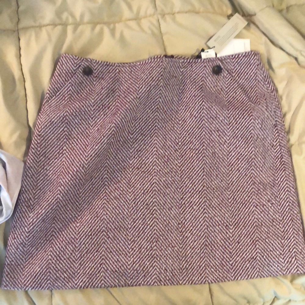 NWT Banana Republic Dress skirt
